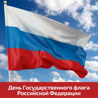 22 августа — День Государственного флага Российской Федерации - Каменск 24