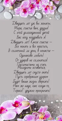 Поздравления с годовщиной свадьбы: лучшие поздравления в картинках, своими  словами, прикольные — Украина — 