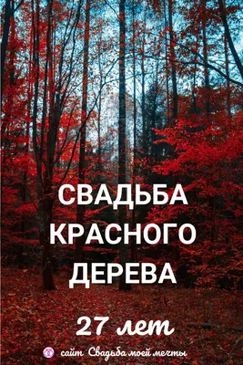 Поздравления с 27 годовщиной свадьбы на 4 июня своими словами - Телеграф