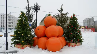 Новогодние праздники в России начнутся 30 декабря и продлятся десять дней -  Общество - ДАН