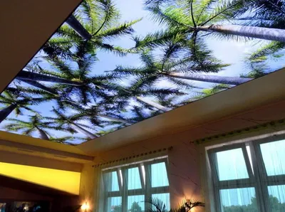3D натяжной потолок тропики