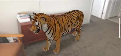 Развлечение на карантине: смотрим 3D животных в Google на iPhone |  