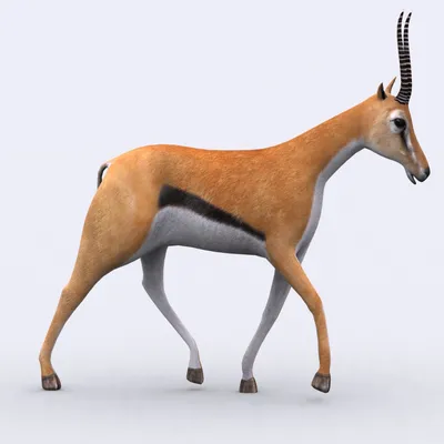 Swamp Wildlife - 3D Printable Animals by eli3D — Kickstarter