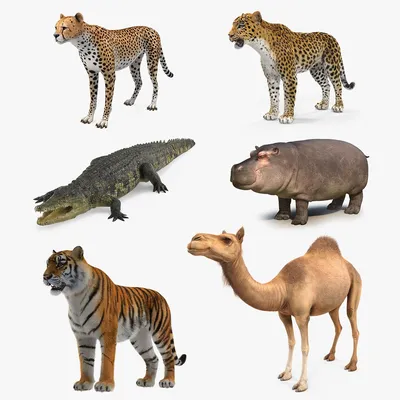 3D file Animals - Savanna Wildlife 👹・3D printing design to download・Cults