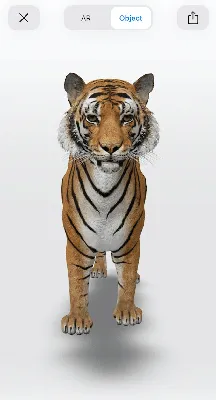 3DRT - Safari animals - Lion - Buy Royalty Free 3D model by   (@) [2eac554]