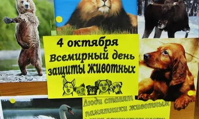 Экология Дона : Экологический календарь : 4 октября – Всемирный день защиты  животных