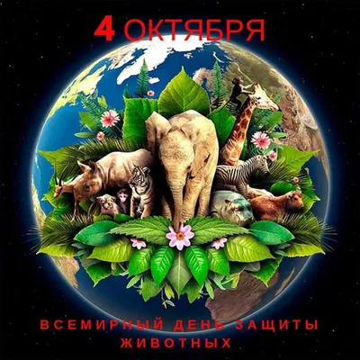 Всемирный день защиты животных 4 октября | Бесплатно векторы