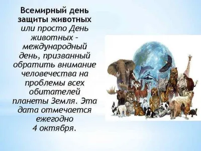 4 октября -«Всемирный день животных» отметили в нашем детском саду! — МБДОУ  детский сад №123