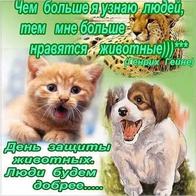 Международный день птиц