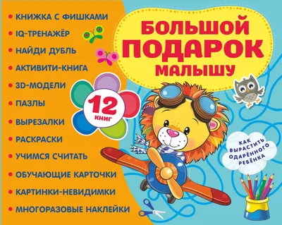 Большой подарок малышу. Набор из 12 книг - купить с доставкой по выгодным  ценам в интернет-магазине OZON (1309626234)