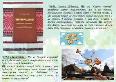 На свято Сорок святих (22 березня) печуть 40 "жайворонків" - Simya