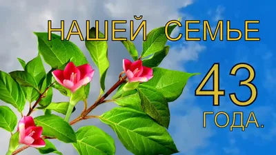 С годовщиной свадьбы 43 года! Лучистая, первоклассная, страстная открытка,  картинка! Открытки! Поздравок!