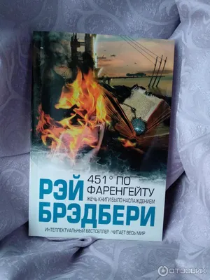 451 градус по Фаренгейту: истории из жизни, советы, новости, юмор и  картинки — Все посты, страница 3 | Пикабу