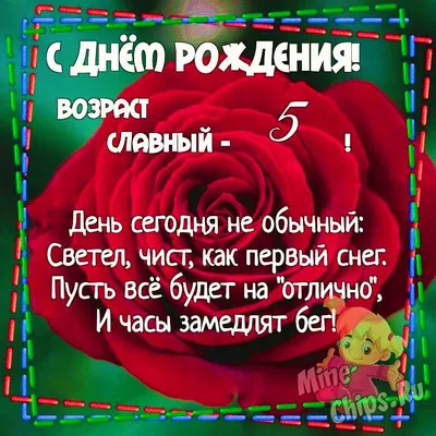 5 лет девочке: как поздравить и что подарить