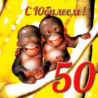 Видеооткрытка С Юбилеем 50! Прикольное поздравление с днем рождения на 50  лет юбилей