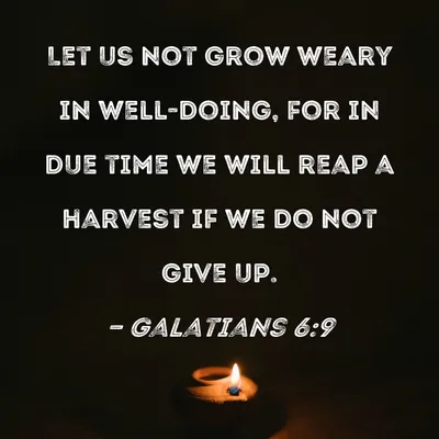 Galatians 6:9 Let us not become weary in doing good, for at the proper time  we will reap a harvest if we do not give up. | New International Version  (NIV) |