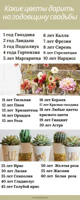 Картинки с пожеланиями с годовщиной свадьбы 5 лет (48 фото) » Юмор, позитив  и много смешных картинок