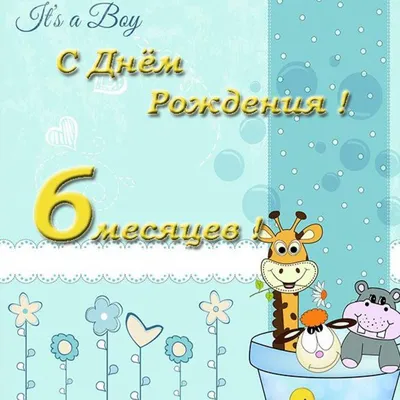 6 месяцев нашей малышке, день рождения, доченька, малыш, ребенок, праздник,  декор, декор детского праздника | Дни рождения, День рождения, Детский  праздник