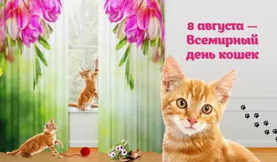 Открытки день кошек с международным днем кошек...