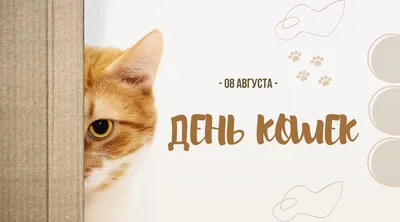 Новости: 8 августа мы отмечаем Всемирный день кошек