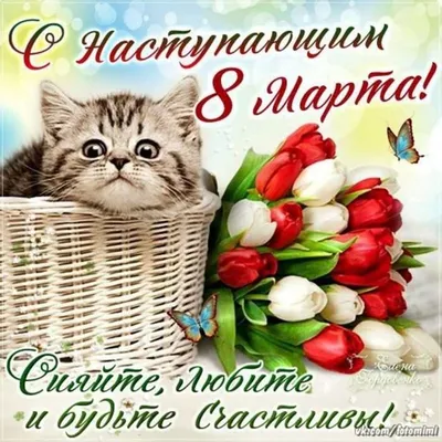 Меми на 8 березня - прикольні картинки про Міжнародний жіночий день -  Апостроф