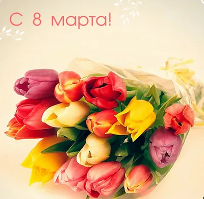 Pin by Наталия Чернышенко on 8 марта | Happy birthday art, 8th of march,  Happy birthday cards