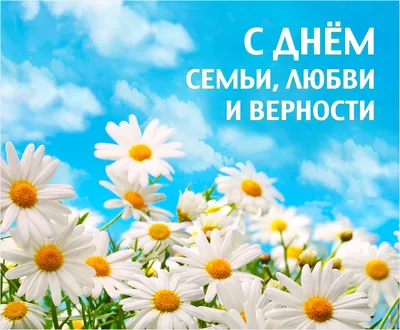 Ежегодно 8 июля в нашей стране отмечается Всероссийский день семьи, любви и  верности. Что больше всего в жизни нужно? Что нам помогает… | Открытки,  Картинки, Семена