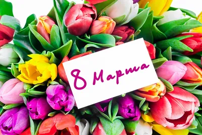 Всех Пикабушниц с 8 марта! | Пикабу