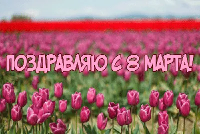 8 Марта! - 8 марта - Праздничная анимация - Анимация - SuperGif