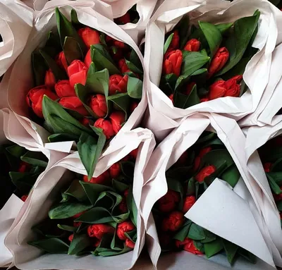 Букет белых тюльпанов на 8 марта - купить с бесплатной доставкой по Москве