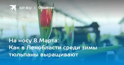 Картинка с поздравительными словами в честь 8 марта для девушки - С  любовью, 