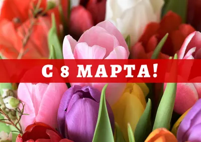 Стихи и открытки на 8 Марта - Поздравления с Международным женским днем в  СМС и картинках