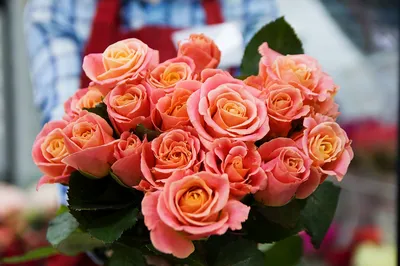 Розы на рождение ребенка купить с доставкой по Томску: цена, фото, отзывы.