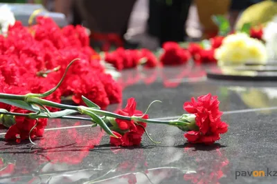 О возложении цветов 9 мая рассказали в Павлодаре / Павлодар-онлайн /  Павлодар / Новости / Павлодарский городской портал