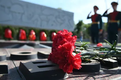 День Победы в Туле стартовал с возложения цветов к Вечному огню на площади  Победы - Новости Тулы и области - 