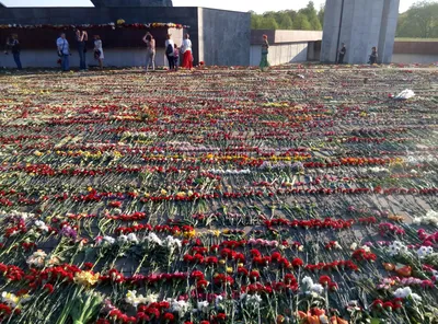 9 мая в Новотроицке возложили цветы к Вечному огню в честь 76-й годовщины  Победы в Великой Отечественной войне : Урал56.Ру. Новости Орска, Оренбурга  и Оренбургской области.