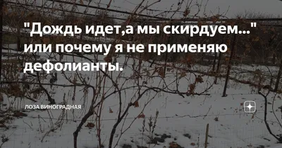 Ля-Ля-Фа - Погода в нас... А дождь…он просто идёт...ХОРОШЕЙ  ПОГОДЫ!...И...ДОБРОГО ВСЕМ УТРЕЧКА! | Facebook