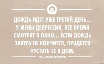 А дождь идет... Лето, ты где? | Записки работающей пенсионерки | Дзен