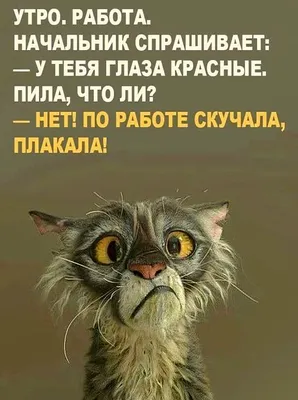 Как найти работу, если вам за 40 и нет профессионального опыта — 