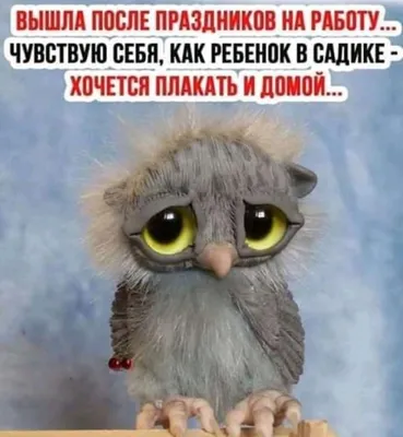 Ответы : Кому то завтра на работу! А у кого понедельник - выходной?