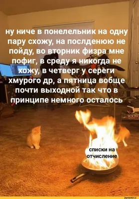 ну ниче в понелельник на одну пару схожу, на послденюю не пойду, во вторник  физра мне пофиг, в сред / Приколы для даунов :: приколы про студентов  (студенческие шутки и юмор, видео,