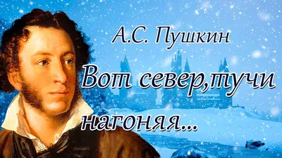 А.С. Пушкин. Полное собрание сочинений (Подарочная книга в кожаном  переплете и кожаном коробе) | Пушкин Александр Сергеевич - купить с  доставкой по выгодным ценам в интернет-магазине OZON (221713439)