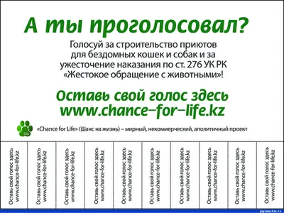 Котоматрица: А ты проголосовал за Жириновского?