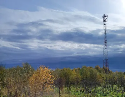 Тайны Дистанционного Электронного Голосования в России нет / Хабр