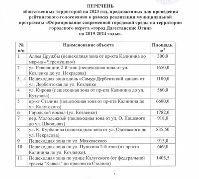 А ты успел проголосовать? - Город Дагестанские Огни