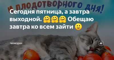 Пресс-релизы: Министерство культуры и национальной политики Кузбасса