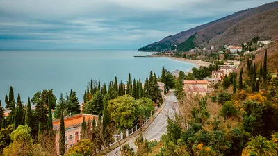 Обои осень, лес, небо, облака, деревья, горы, солнечно, Абхазия, Abkhazia  картинки на рабочий стол, раздел пейзажи - скачать