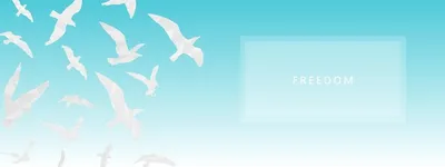 Силуэты летающих птиц в голубом небе концепция свободы абстрактный  векторный фон для рекламной презентации веб-заголовок дизайн свободы птицы  в небе иллюстрация | Премиум векторы