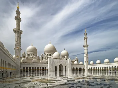 Абу-Даби как ближневосточная столица современного искусства: Лувр, Abu  Dhabi art и муралы | 