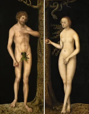 File:Adam Eva, Durer,  - Wikipedia